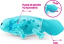 FIG. AJOLOTE PETS ALIVE