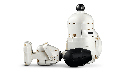 PEANUTS CASETA SNOOPY