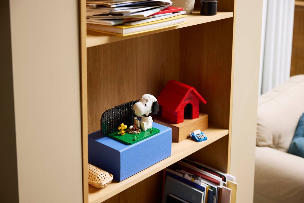 PEANUTS CASETA SNOOPY