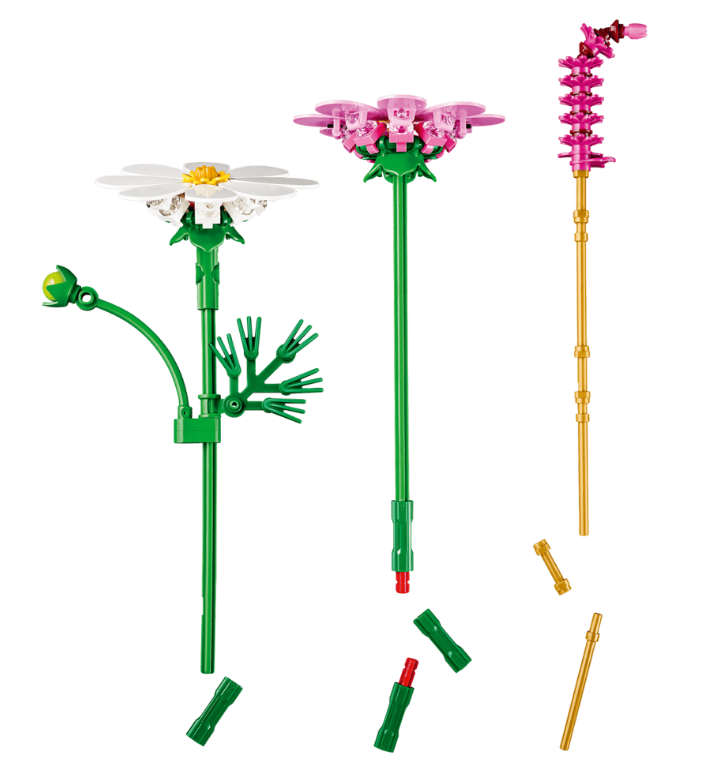 FLORES COSMOS