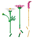 FLORES COSMOS