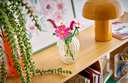 FLORES COSMOS