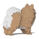 POMERANIAN 02S-M01