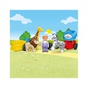 TREN ANIMALES JUNIOR