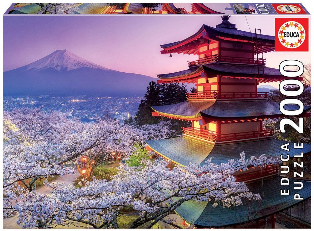 PUZ.2000 MONTE FUJI, JAPON