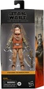 S.W.BLACK SERIES KUIIL