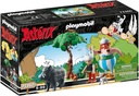 ASTERIX:LA CAZA DEL JABALI
