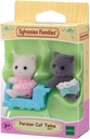 GEMELOS GATO PERSA SYLVANIAN