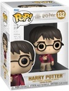 POP HARRY POTTER PIEDRA FILOSOFAL