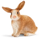 CONEJO