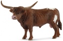 TORO TEJANO LONGHORN