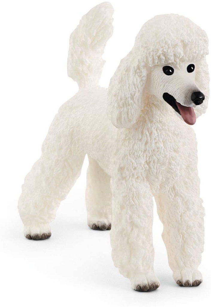 CANICHE