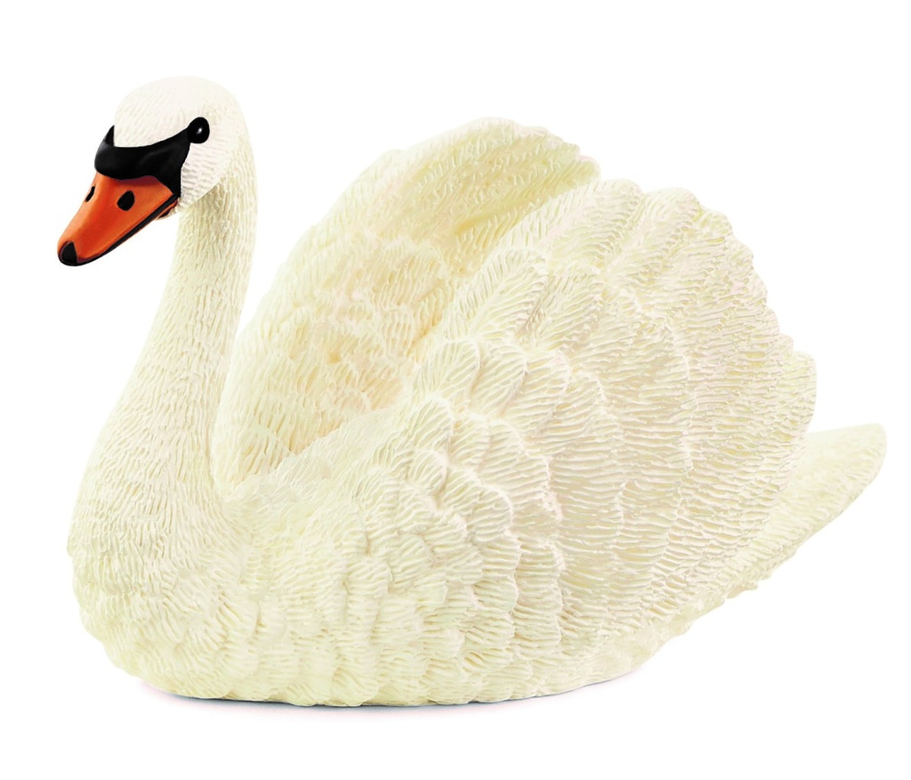 CISNE