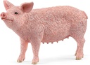 CERDO