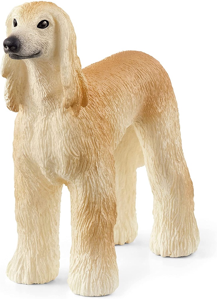 SABUESO AFGANO