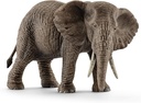 ELEFANTE AFRICANO HEMBRA
