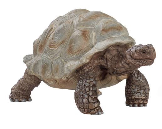 TORTUGA GIGANTE