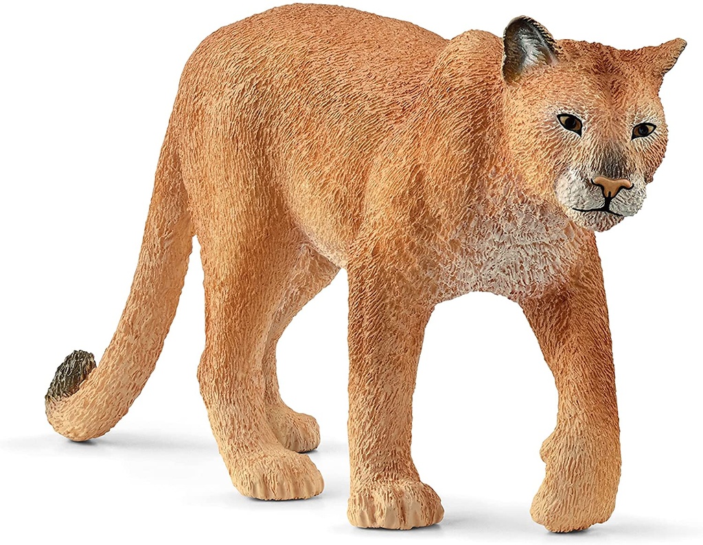 PUMA