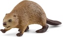 CASTOR