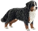 PERRO BERNES HEMBRA