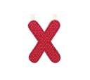 LETRA 'X' LILLIPUTIENS