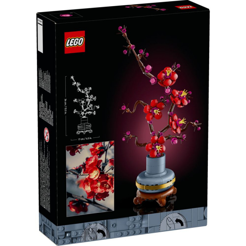 FLOR DE CIRUELO
