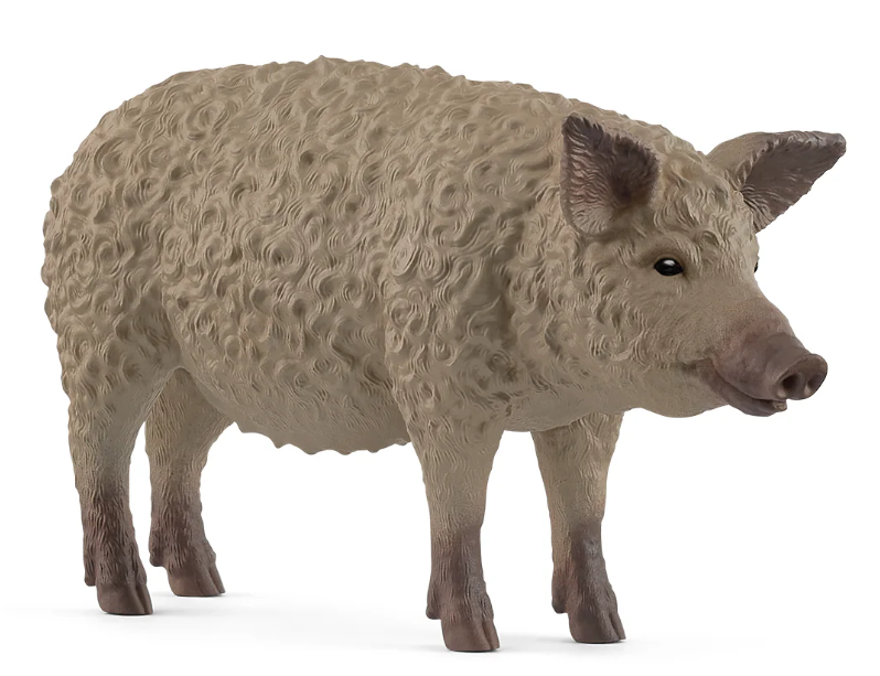 CERDO LANUDO