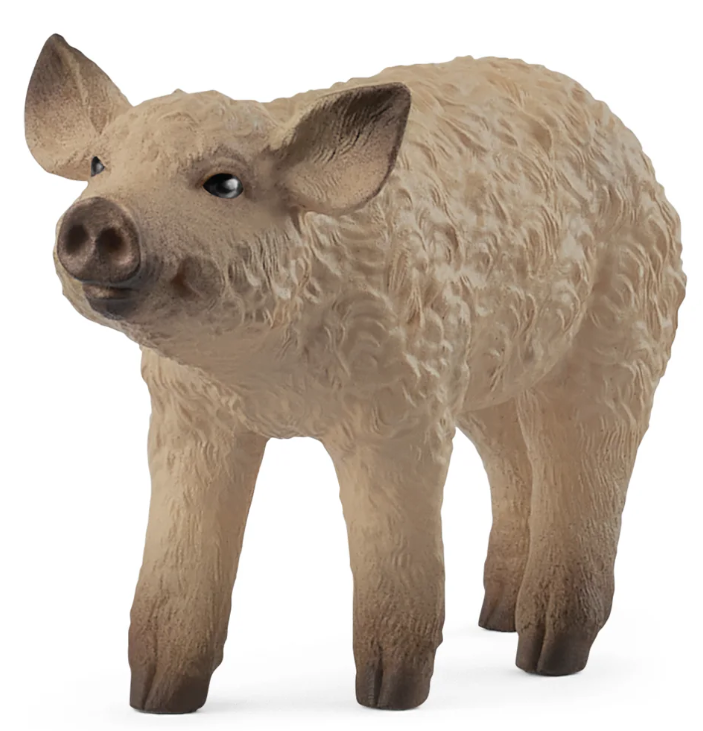 CERDITO LANUDO