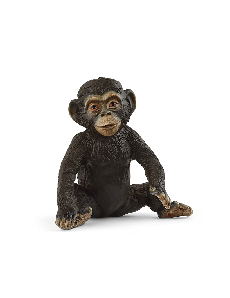 CHIMPANCE CRIA