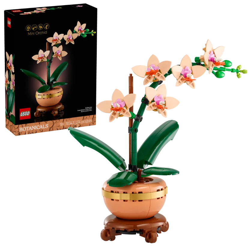 MINI ORQUIDEA