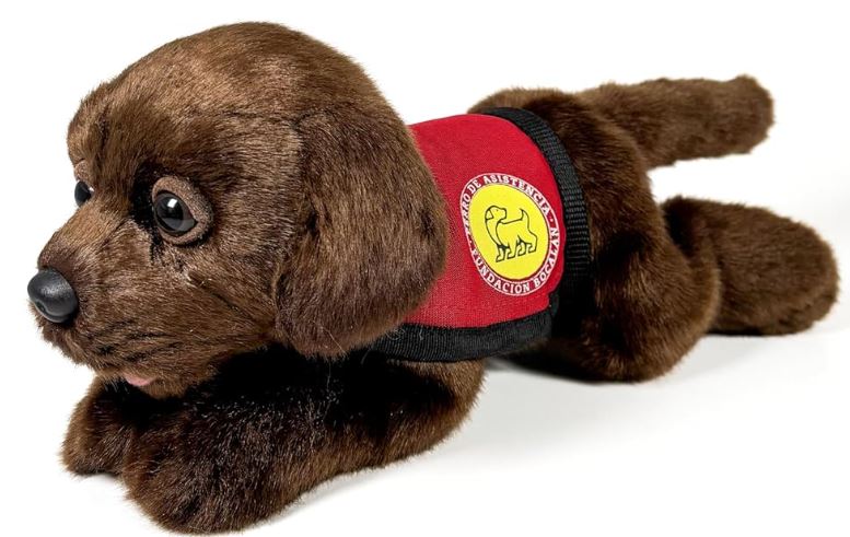 PELUCHE LABRADOR CHOCOLATE 21