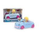 AMICICCI COCHE
