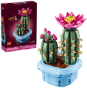 CACTUS EN FLOR