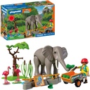ELEFANTE C/CUIDADOR