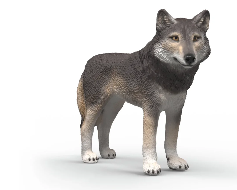 LOBO AMERICANO