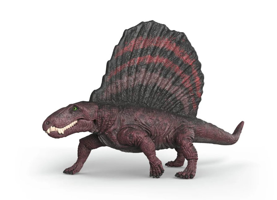 DIMETRODON