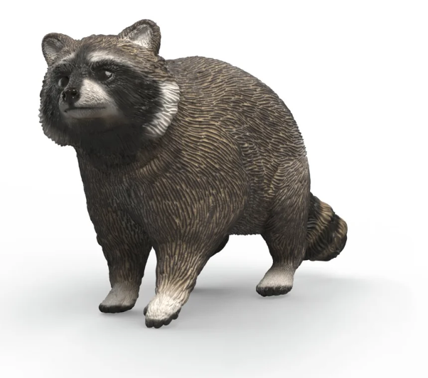 MAPACHE