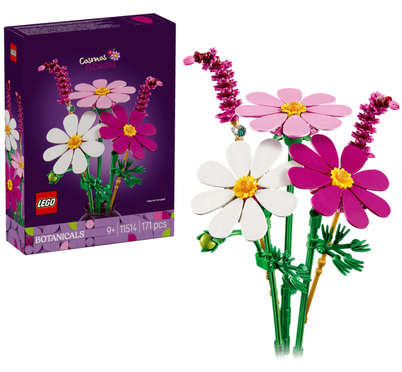 FLORES COSMOS