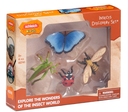 SET DESCUBRIMIENTO INSECTOS
