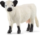VACA GALLOWAY