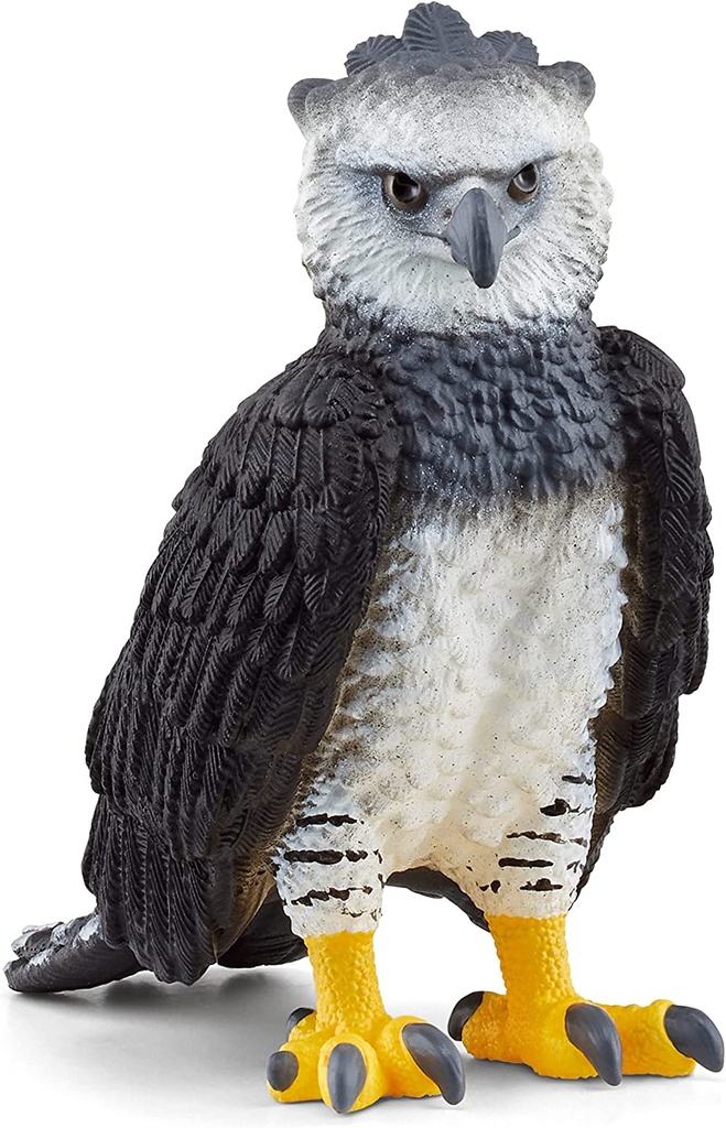 AGUILA HARPIA