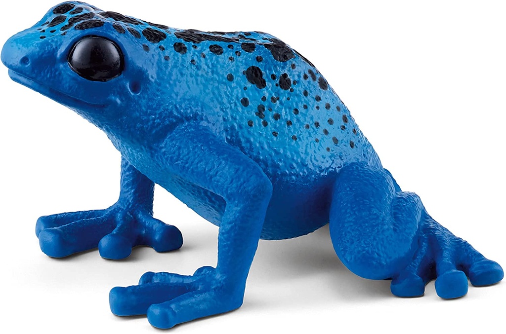 RANA FLECHA AZUL