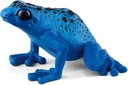RANA FLECHA AZUL