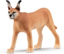 CARACAL HEMBRA