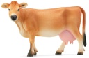 VACA JERSEY