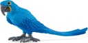 GUACAMAYO JACINTO