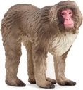 MACACO JAPONES
