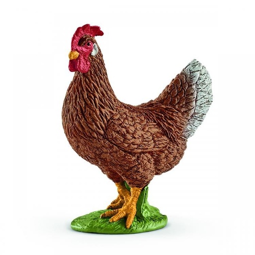 [66913826] GALLINA