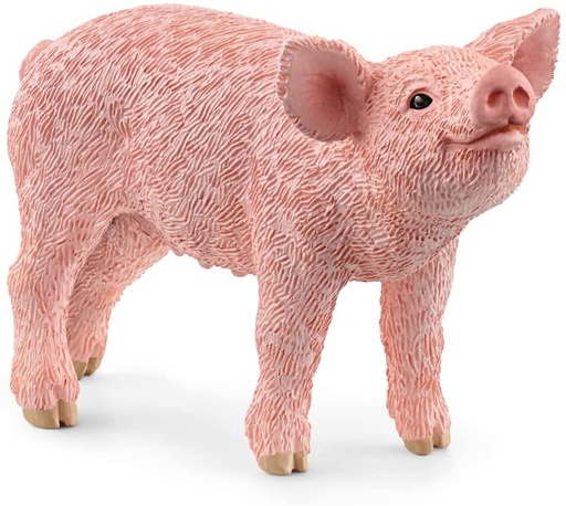 [66913934] LECHON