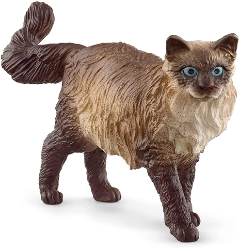 [66913940] GATO RAGDOLL